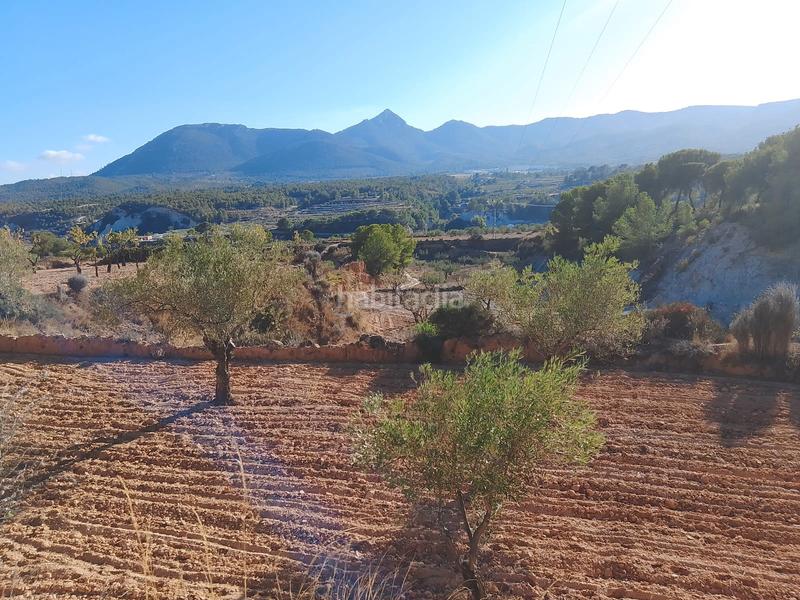 Foto d20663a1-9040-449a-8628-afc7b8524f5a. Propriété dans n/a dans Tibi