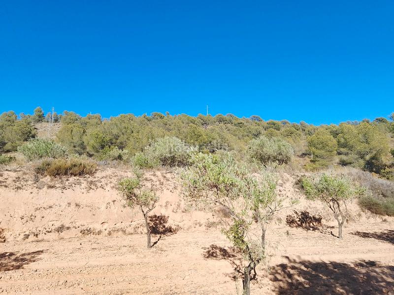 Foto f22226c0-dc80-4af3-bbcc-1f8695ee4732. Propriété dans n/a dans Tibi