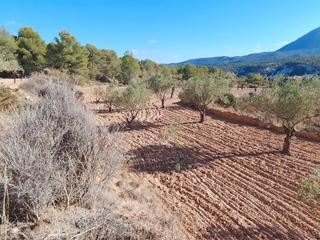 Fondo rustico  N/a. Venta de finca rustica para construir una vivienda unifamiliar u
