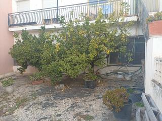 Mas  Carrer la santa. Casa rustica para entrar a vivir en tibi