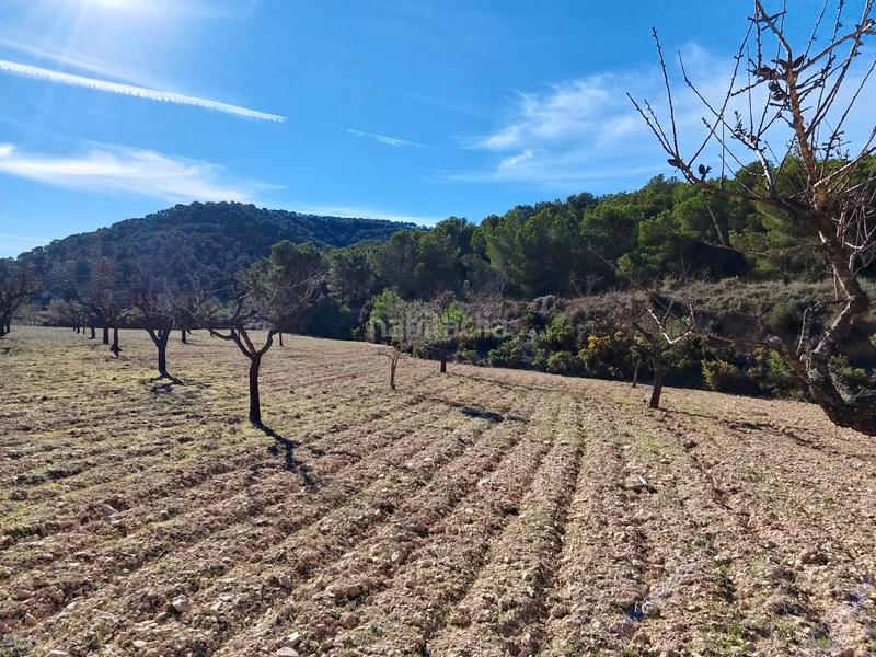 Foto 06900573-505e-45f7-8160-d76c1e0677ed. Finca rústica a Tibi