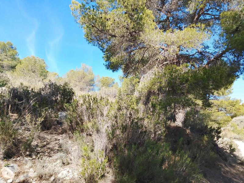 Foto 094d3928-ce9c-4f59-8c8e-cef5e553652a. Finca rústica a Tibi