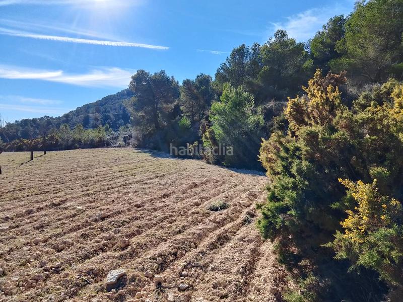 Foto 1aac5584-22a7-4dff-9d14-6496c6fb76cb. Finca rústica a Tibi