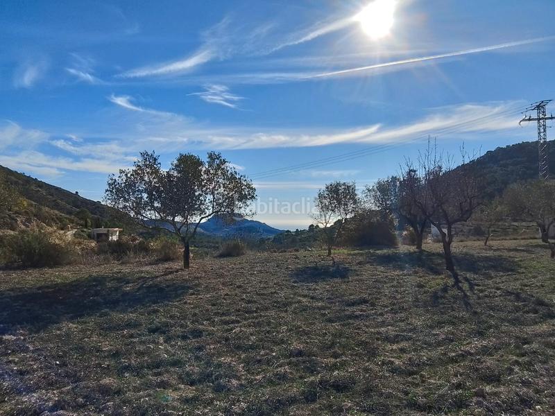 Foto 1bbdd54a-9425-41ec-8844-de98848207f7. Finca rústica a Tibi