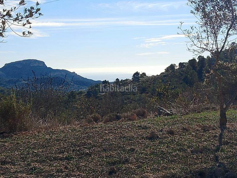 Foto 1e987ad4-bec7-4bf0-9af4-f7fc52ce8e7b. Finca rústica a Tibi