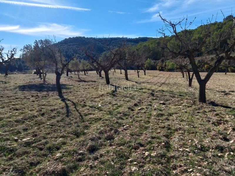 Foto 25b7b287-e633-46a0-8940-309776649e18. Finca rústica a Tibi