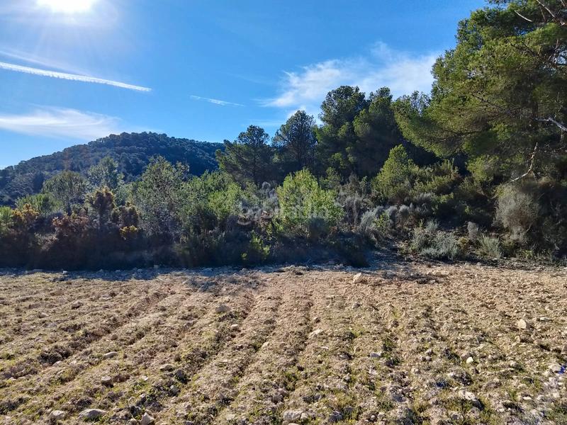 Foto 3602ccec-65d8-491e-96c3-1a2a8a00e646. Finca rústica a Tibi