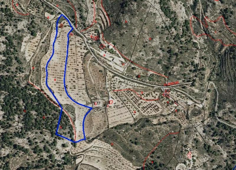 Foto 36a64c8d-dd2d-4553-a6ee-23f56bd8f528. Finca rústica a Tibi