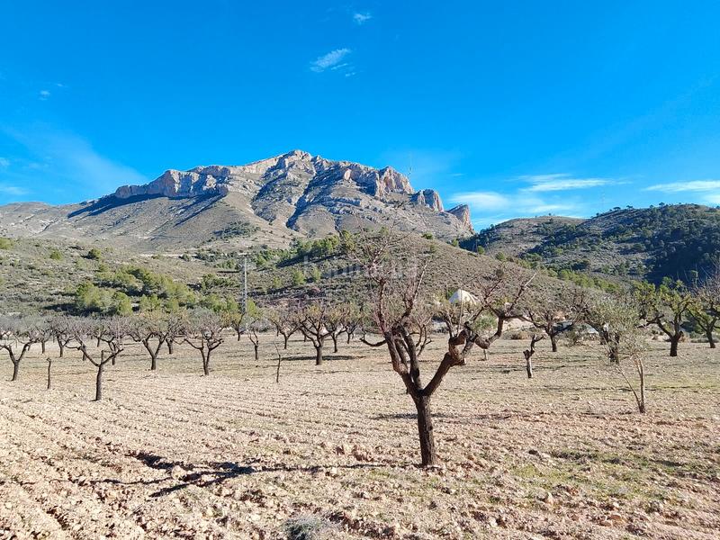 Foto 388281c0-db6f-48f1-95aa-bf44490b69b8. Finca rústica a Tibi