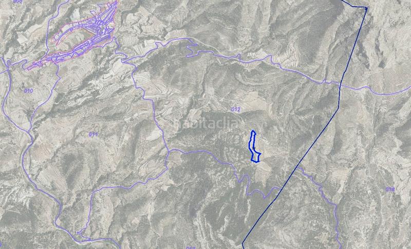 Foto 38c40963-4e1d-4730-a807-03017d3a0957. Finca rústica a Tibi