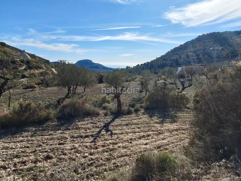 Foto 3e8c17bf-ccff-4e6e-b361-7a324ebcb89d. Finca rústica a Tibi