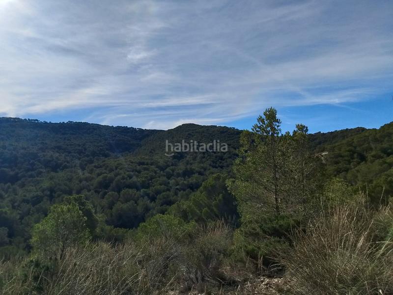 Foto 4fb493b7-0681-4368-86b0-9b36c41b1a8f. Finca rústica a Tibi