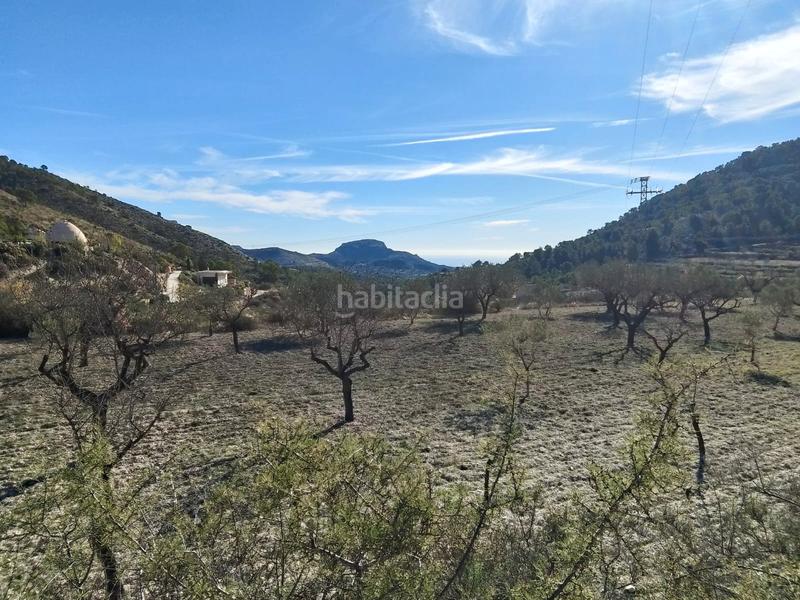 Foto 5a51471e-296c-4ef6-ad61-345de40f8c65. Finca rústica a Tibi