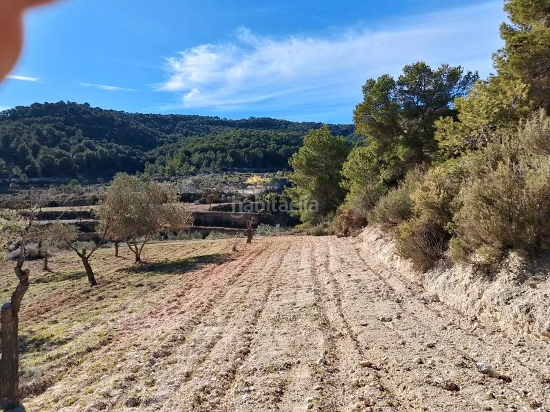 Foto 6de4adbb-20ab-4f34-a3ae-f1630b7669d5. Finca rústica a Tibi