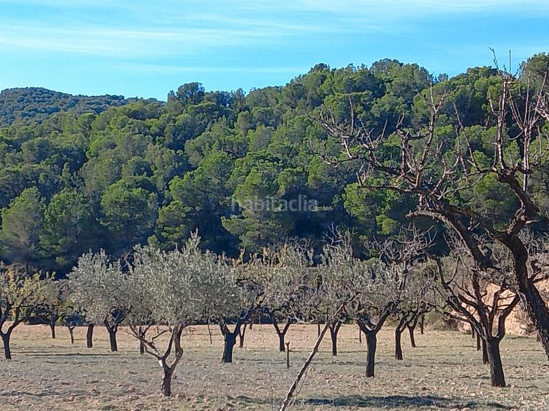 Foto 6e51f98d-9056-47b3-92a6-2539d25debce. Finca rústica a Tibi