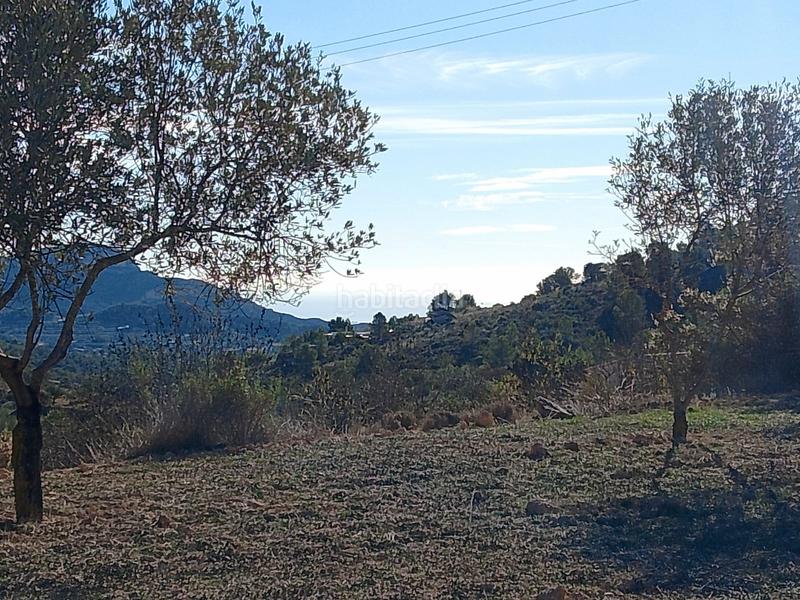 Foto 855f053e-9058-4286-87b0-d949b3b1f57f. Finca rústica a Tibi