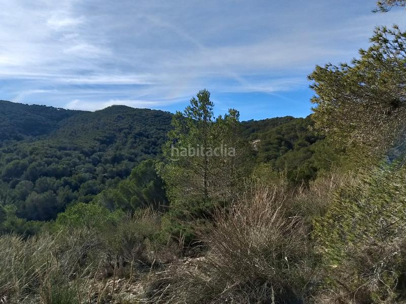 Foto 87237e49-af64-49cf-b8ee-af8bf64e20c2. Finca rústica a Tibi