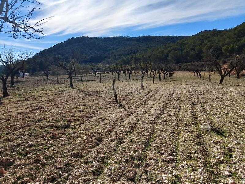 Foto 9f5228ad-317c-4461-8614-c849e0e326fe. Finca rústica a Tibi