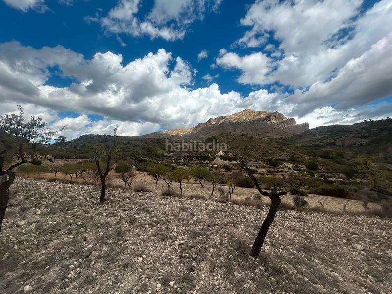 Foto ab67d4cd-73db-4acb-aaf4-9096ef28fa00. Finca rústica a Tibi