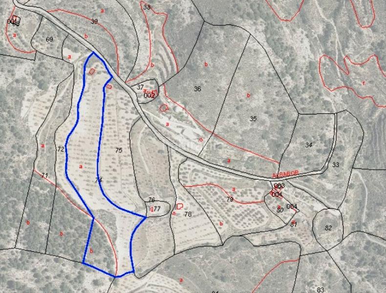 Foto b693f27d-3636-4f97-98f4-cbae3f524a8b. Finca rústica a Tibi