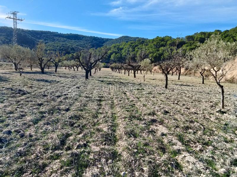 Foto b9f90817-17c7-4de2-8deb-c503bdead3a7. Finca rústica a Tibi