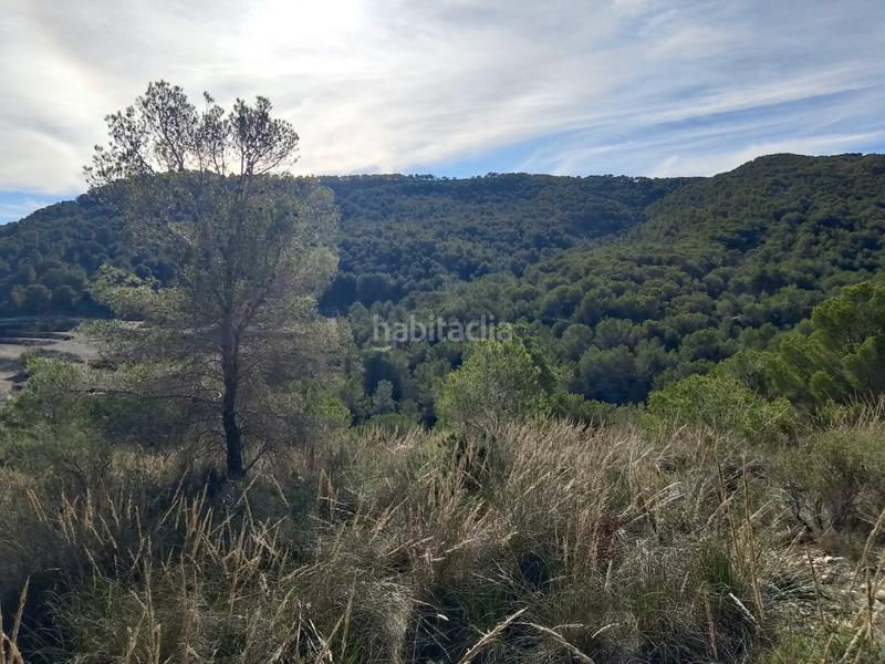 Foto bde12cf0-4718-46a3-9c33-f77461dd57e8. Finca rústica a Tibi