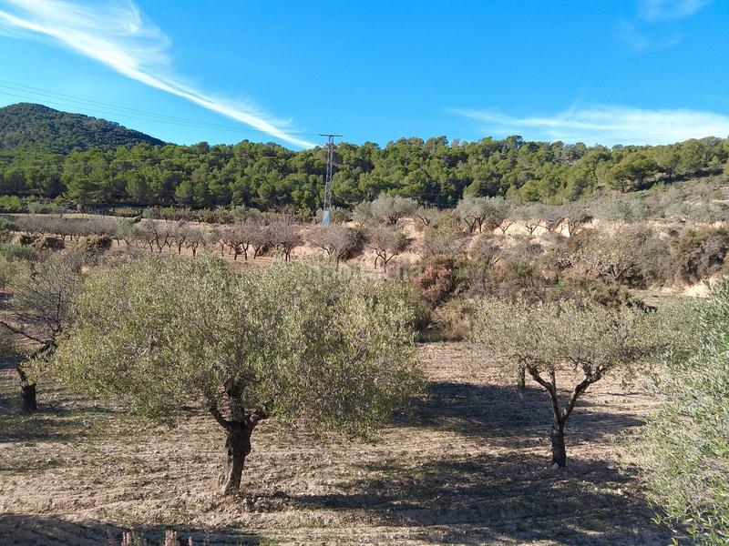 Foto be791631-257c-449d-abb2-0beb1385924d. Finca rústica a Tibi