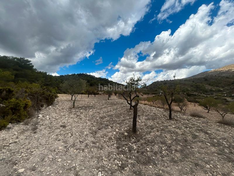 Foto c34d96b5-983c-428f-b09e-8de466be9cda. Finca rústica a Tibi