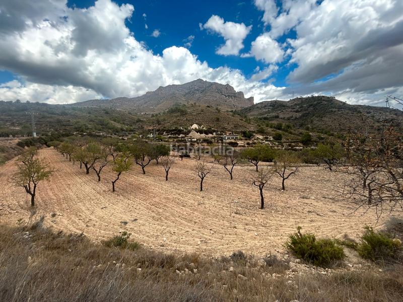 Foto c9593412-e26e-40ea-8147-27e13a0fa545. Finca rústica a Tibi