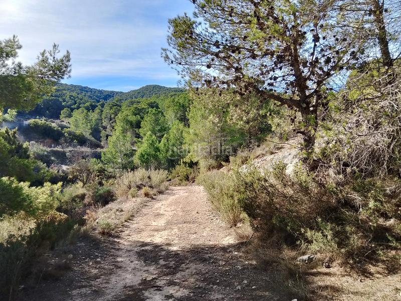 Foto ca39fef9-e2e9-428e-8acf-e962888156d1. Finca rústica a Tibi