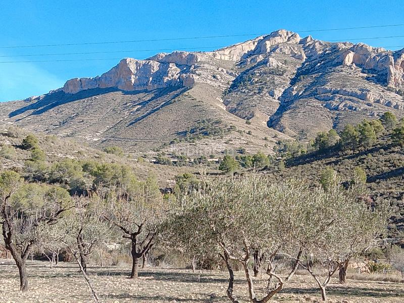 Foto d1bd914c-5724-4984-8c10-5aab306522ca. Finca rústica a Tibi