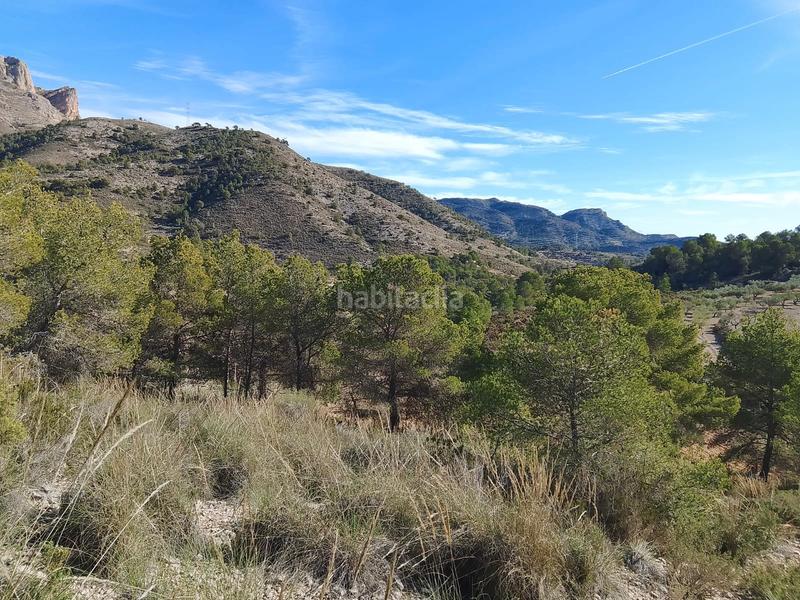 Foto d23e50b2-f037-4db2-abfd-203ff105bfec. Finca rústica a Tibi