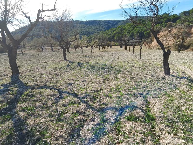 Foto d4275d37-f2b0-4460-ae5e-7ffc0e5e423d. Finca rústica a Tibi