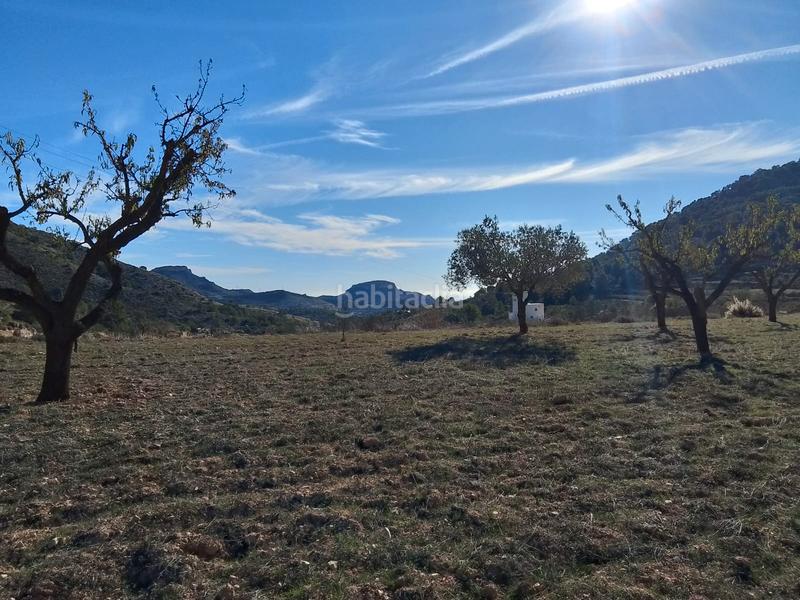 Foto dc589594-686b-492b-86f0-6a841f904760. Finca rústica a Tibi