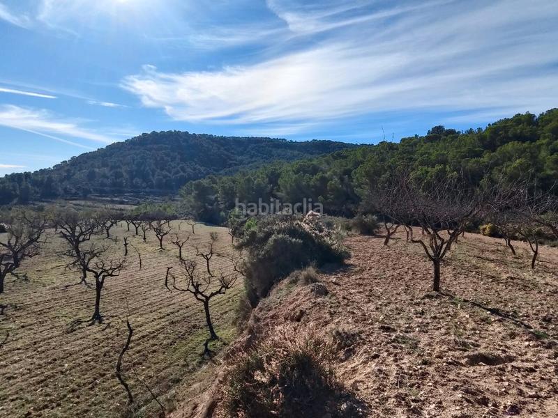 Foto deddc285-4b93-472e-b4ac-4335fbcee36e. Finca rústica a Tibi