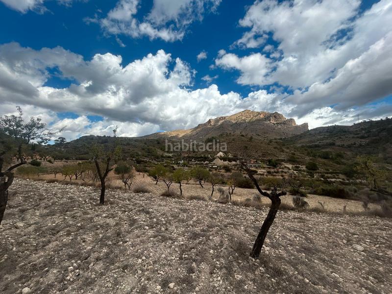 Foto e2a83fd4-7ef0-452a-8510-a3716b167aa2. Finca rústica a Tibi