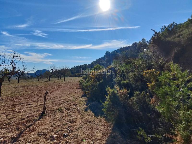 Foto fbe52a83-7e35-491b-83e1-9fddc3e9887d. Finca rústica a Tibi