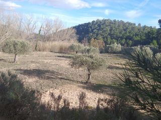 Finca r�stica  N/a. Venta terreno en ronesa, tibi, alicante