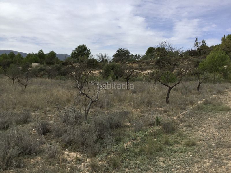 Foto 014ee4da-c0b8-4cd4-a4a2-c5815e4e9218. Finca rústica a partida el llosar 70 a Tibi