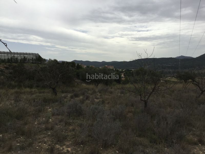 Foto c5190ae8-7219-40c1-acf7-22ae53626b69. Finca rústica a partida el llosar 70 a Tibi