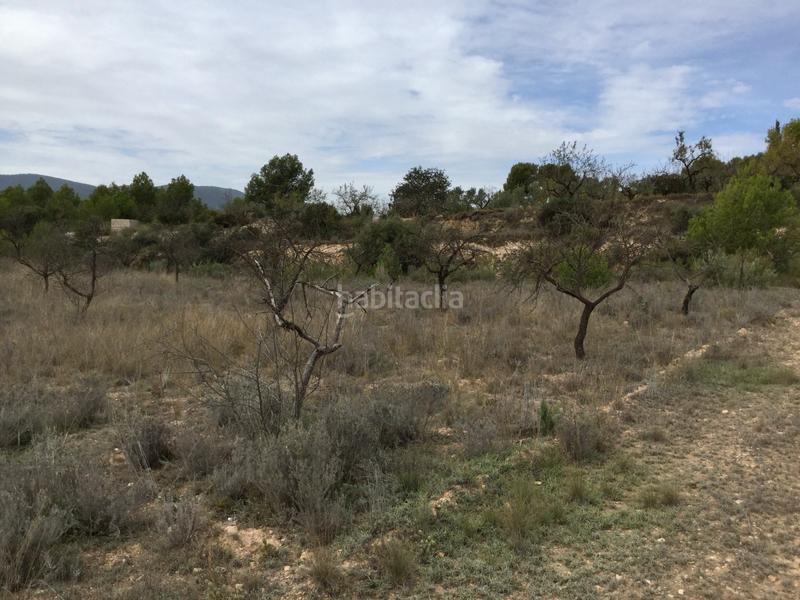 Foto 014ee4da-c0b8-4cd4-a4a2-c5815e4e9218. Fondo rustico in partida el llosar 70 in Tibi