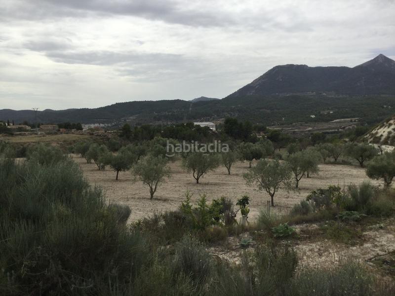 Foto 3dc8ce1f-5dbf-44ae-8e32-c0819ea35da2. Fondo rustico in partida el llosar 70 in Tibi