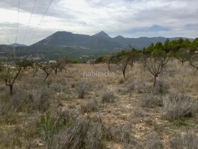 Foto 5ec32191-24f9-45dc-93ca-8fe09fd22457. Fondo rustico in partida el llosar 70 in Tibi