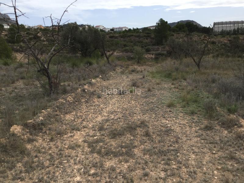 Foto 79b503d1-6fa6-4659-862b-ea8fbe8c251f. Fondo rustico in partida el llosar 70 in Tibi