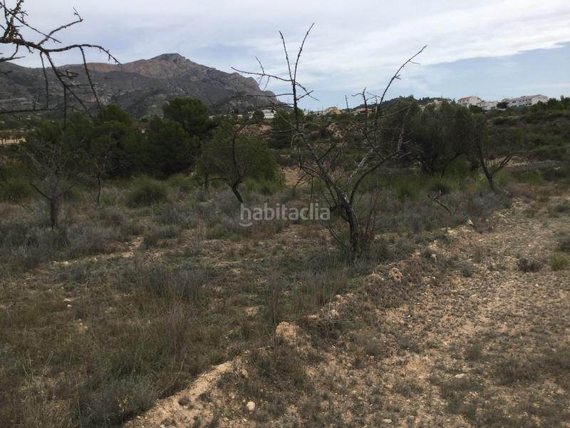 Foto a698a729-57f4-47a1-b1e0-2cb92276e9ad. Fondo rustico in partida el llosar 70 in Tibi