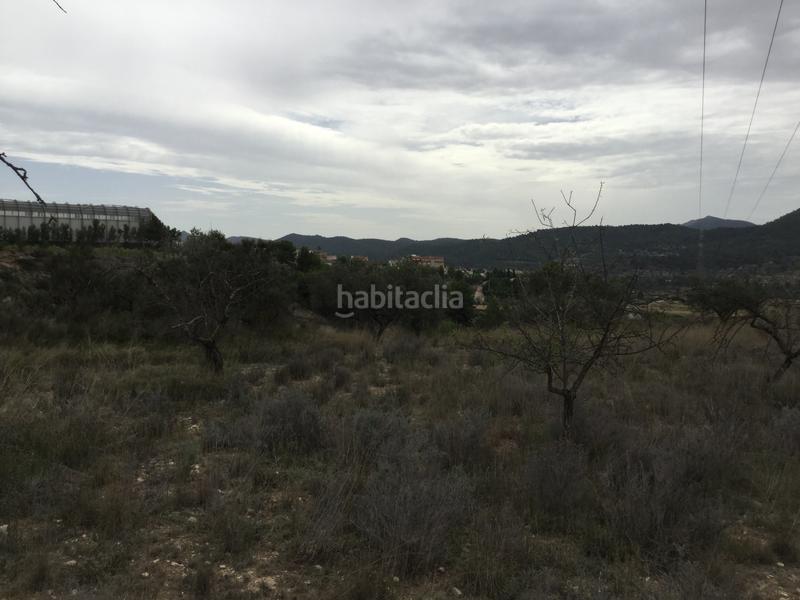 Foto c5190ae8-7219-40c1-acf7-22ae53626b69. Fondo rustico in partida el llosar 70 in Tibi