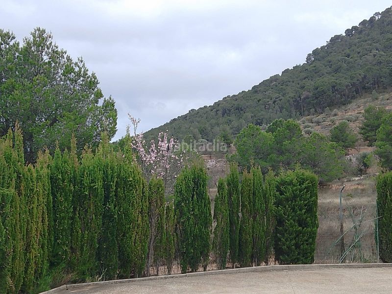 Foto 0938218d-5108-4ee9-93b1-2afd9ddb2f00. Xalet amb xemeneia aparcament a Tibi