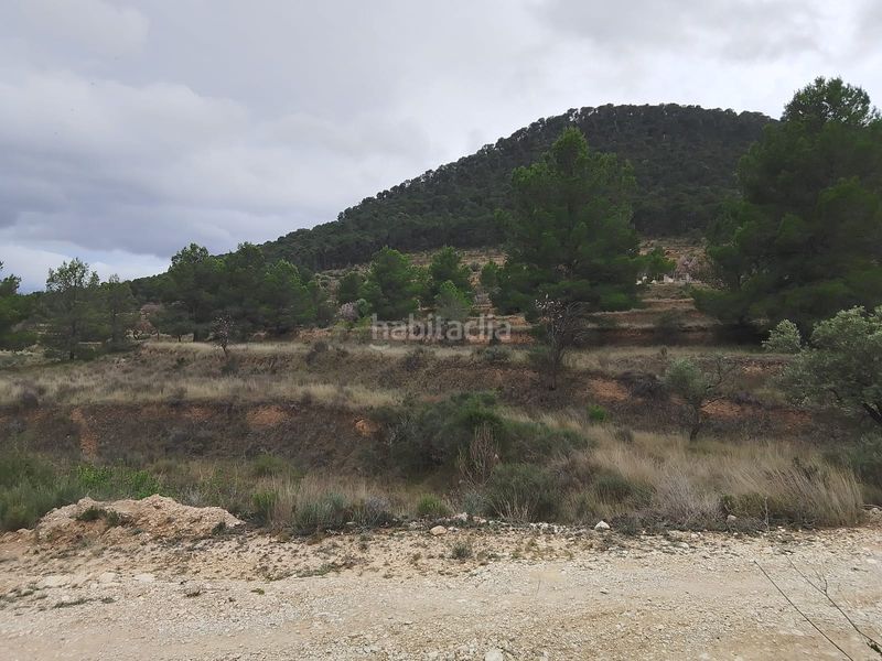 Foto 34f1e69f-0d73-47f5-9f02-2469dff717c4. Xalet amb xemeneia aparcament a Tibi