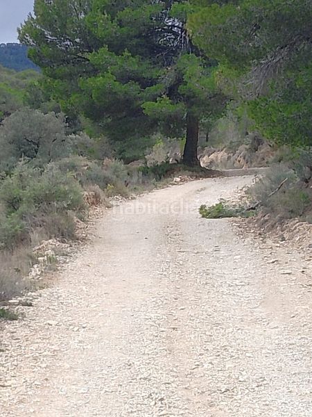 Foto 3f64f3c9-554f-44a4-9445-8a4302577d3d. Xalet amb xemeneia aparcament a Tibi