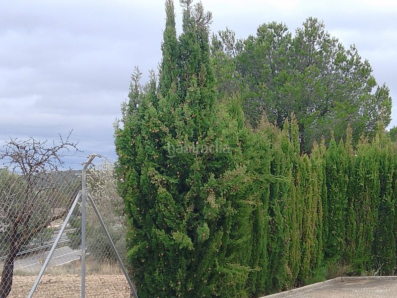 Foto 6b2617e5-d02c-4554-8443-3af6600b2c73. Xalet amb xemeneia aparcament a Tibi